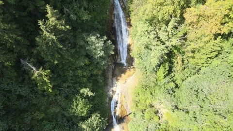 Natural waterfall forest Stock-Footage 240769751