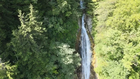 Natural waterfall forest Stock-Footage 240771063