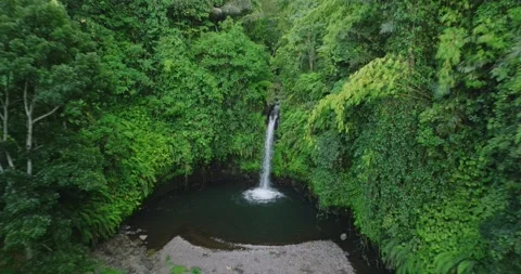 Natural waterfall in a forest setting. Slow motion. Zoom in Stock Footage 310306212