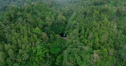 Natural waterfall in a forest setting. Slow motion. Zoom in Stock Footage 310322447