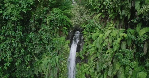 Natural waterfall in a forest setting. Slow motion. Zoom in Stock Footage 310386732
