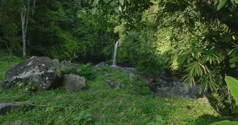 Natural waterfall in a forest setting. Slow motion. Zoom in Stock Footage 310386802