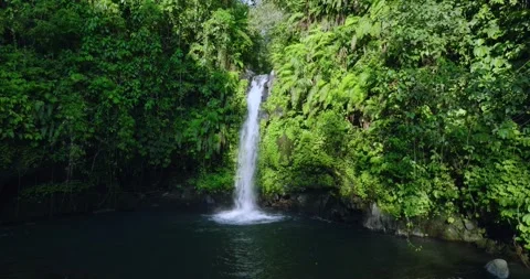 Natural waterfall in a forest setting. Slow motion. Zoom in Stock Footage 310401477