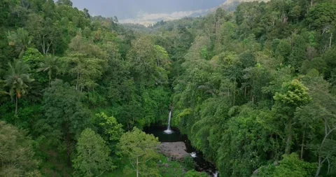 Natural waterfall in a forest setting. Slow motion. Zoom in Stock Footage 310401713