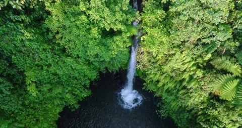 Natural waterfall in a forest setting. Slow motion. Zoom in Stock Footage 311590938