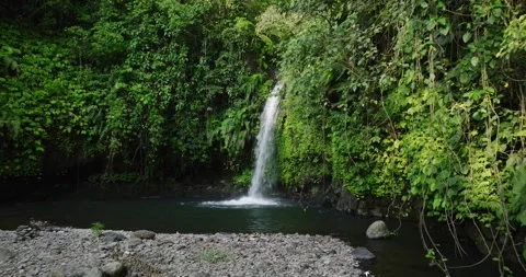 Natural waterfall in a forest setting. Slow motion. Zoom in Stock Footage 311590989