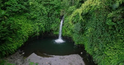 Natural waterfall in a forest setting. Slow motion. Zoom in Stock Footage 311591310