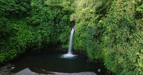 Natural waterfall in a forest setting. Slow motion. Zoom in Stock Footage 311591337