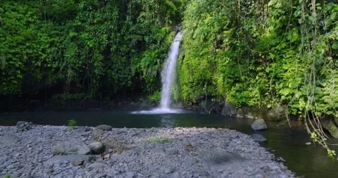Natural waterfall in a forest setting. Slow motion. Zoom in Stock Footage 311591583