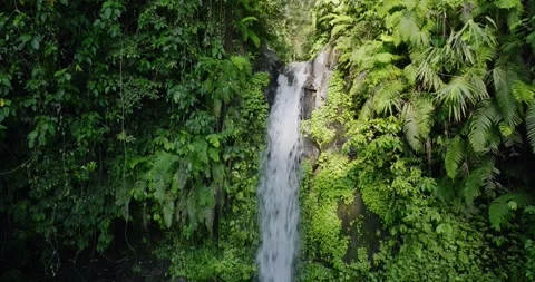 Natural waterfall in a forest setting. Slow motion. Zoom in Stock Footage 311591773