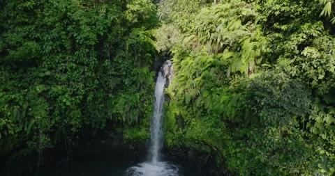 Natural waterfall in a forest setting. Slow motion. Zoom in Stock Footage 311591832
