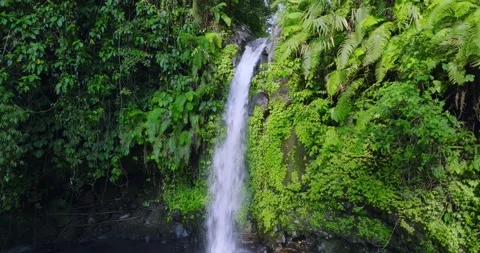 Natural waterfall in a forest setting. Slow motion. Zoom in Stock Footage 311593387