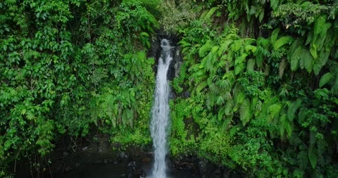 Natural waterfall in a forest setting. Slow motion. Zoom in Stock Footage 311593506