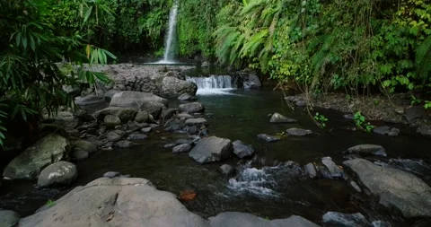 Natural waterfall in a forest setting. Slow motion. Zoom in Stock Footage 311595189