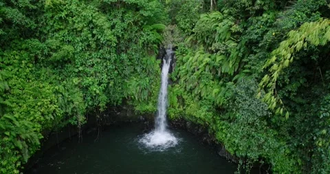 Natural waterfall in a forest setting. Slow motion. Zoom in Stock Footage 311595281