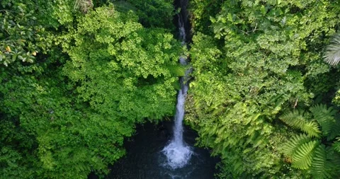 Natural waterfall in a forest setting. Slow motion. Zoom in Stock Footage 311595969