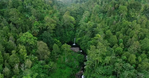 Natural waterfall in a forest setting. Slow motion. Zoom in Stock Footage 311596239