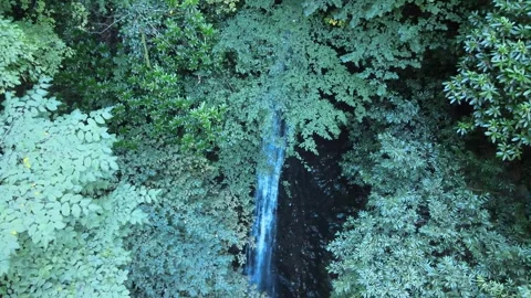 Natural waterfall nature Stock-Footage 240781270