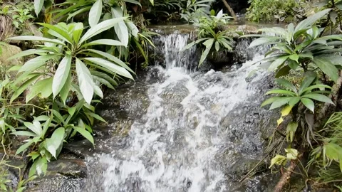 Natural Waterfall in a park. Stock Footage 133746335