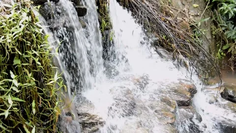 Natural Waterfall in a park. Stock Footage 133746341