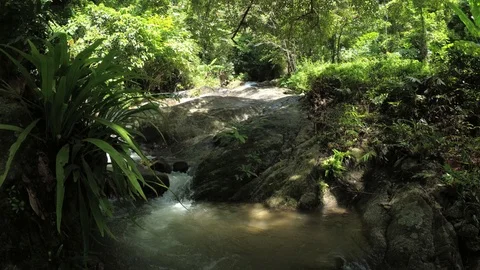 Natural Waterfall in Phuket from Overlooking Perspective Stockbeeldmateriaal 87893519