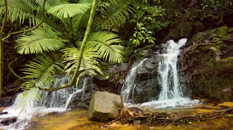 Natural waterfall in the rainforest in thailand 库存影片 44695201