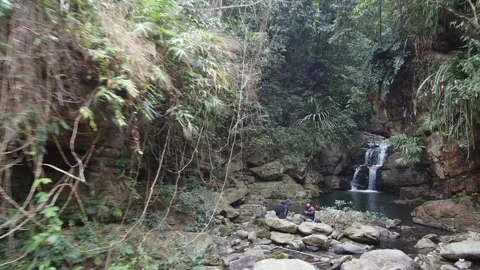Natural waterfall in a serene forest setting surrounded by lush Stock Footage 304845379