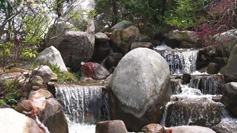 Natural waterfall surrounded by greenery and soft light 스톡 동영상 334098559