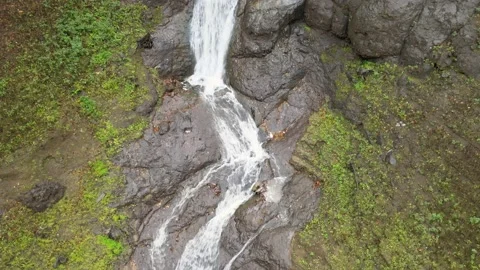 Natural waterfall view Stock-Footage 239274033