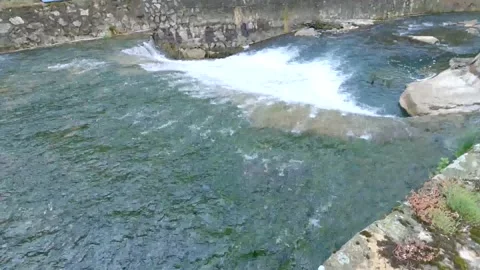 Natural waterfalls Stock Footage 155706451