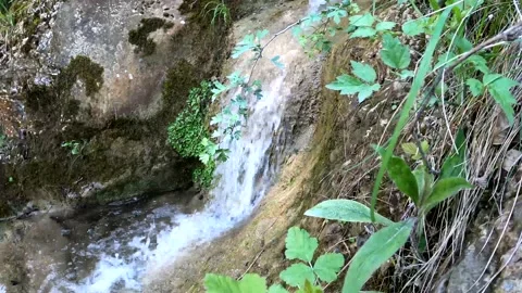 Natural waterfalls Stock Footage 155706546