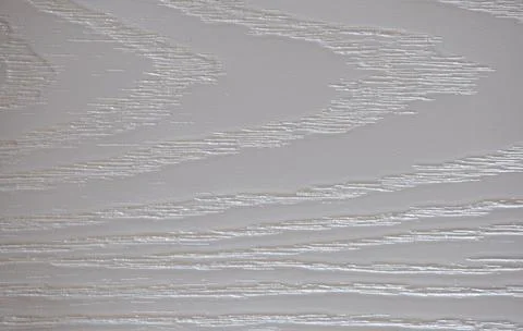 Natural wavy pattern on a cut of light silver wood close-up. Stock Photos