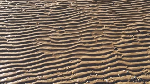 Natural wavy pattern on sandy shore after low tide. Video stock 297058399