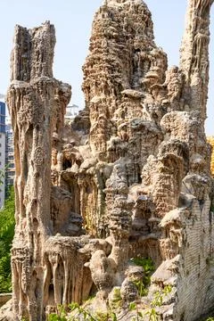 Natural weathered rocks in various forms in the park Foto stock