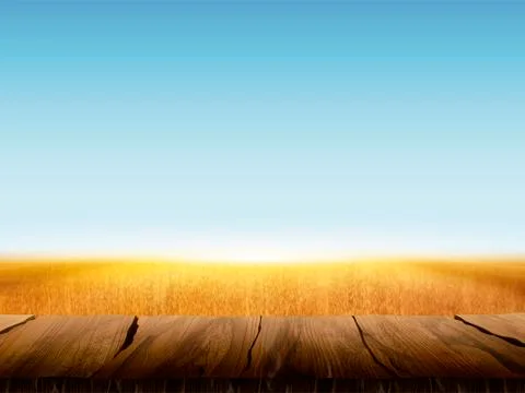 Natural wheat field background Illustrazione stock