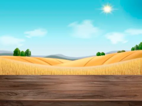 Natural wheat filed background 스톡 일러스트