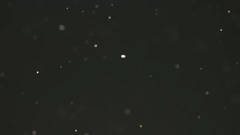 Natural white dust particles floating slowly on black background in cinemat.. Stock Footage 337404110
