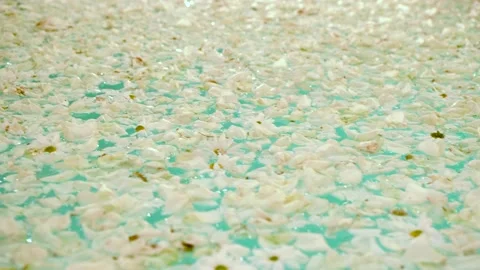 Natural white petals floating in the pool 스톡 동영상 191290740