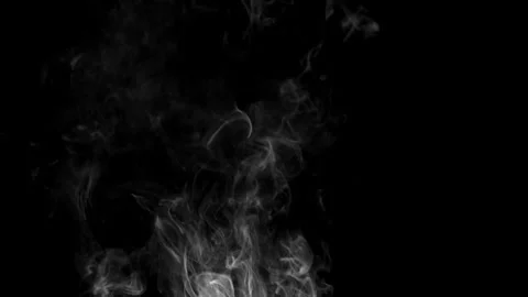 Natural white smoke on a black background  in ProRes 422, 10 bit Stock Footage 280648531