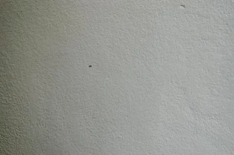Natural White Wall Stock Photos