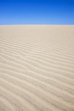 Natural wind-swept patterns on a sunlit sand dune beneath a vivid blue dese.. Stock Photos