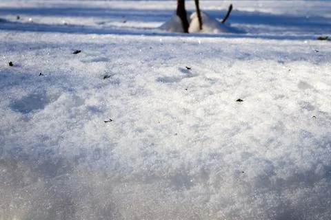 Natural winter backdrop featuring white snow texture Stock Photos