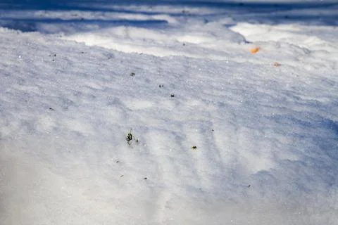 Natural winter backdrop featuring white snow texture Stock Photos