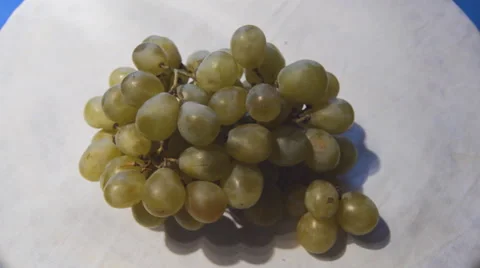 Natural Winter Grapes Stock Footage 45934037
