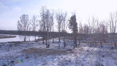 Natural winter landscape , river, forest Video stock 83799516