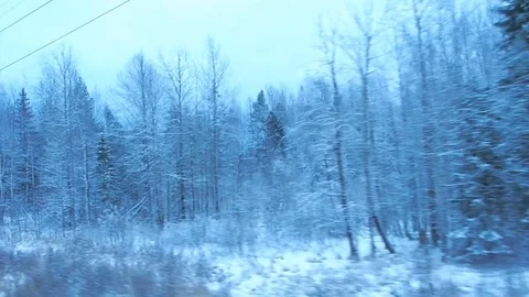 Natural winter landscape from the window of a moving train in Siberia Video stock 83799462