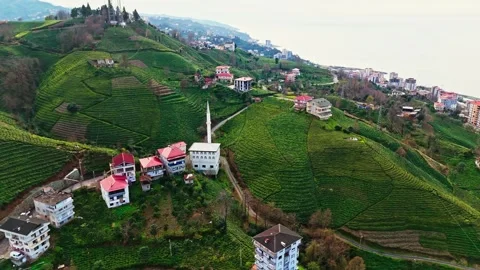 Natural Wonders: Capturing stunning visuals from above. Video stock 272442415