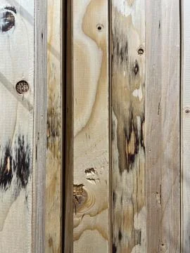 Natural Wood Grain Texture Patterns for Interior Design 库存照片