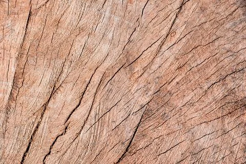 Natural wood pattern background 스톡 사진