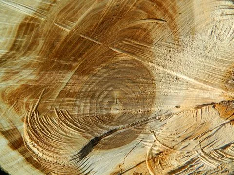 Natural Wood Patterns Stock Photos